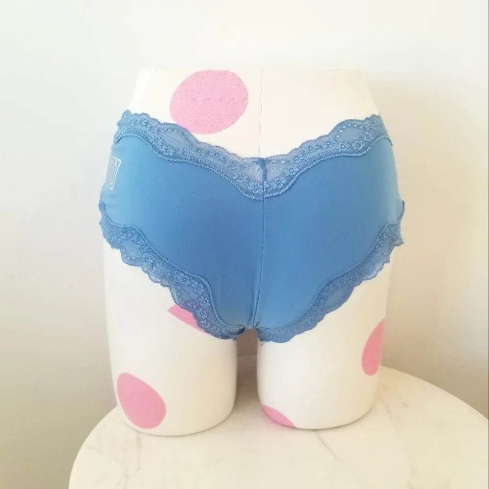 Victoria's Secret PINK Vintage Lace Extra Low Rise Cheeky Hipster Panty NWT - Picture 4 of 11